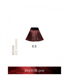 Vopsea de par 6.6 Burgundy Red 100 ml Divina.One Eva Professional