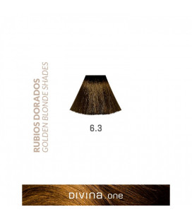 Vopsea de par 6.3 Mississippi Blonde 100 ml Divina.One Eva Professional