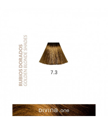 Vopsea de par 7.3 Olympic Blonde 100 ml Divina.One Eva Professional