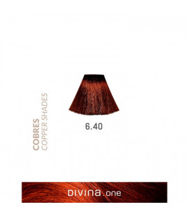 Vopsea de par 6.40 Amaretto Coppery 100 ml Divina.One Eva Professional