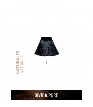 Vopsea de par fara amoniac 1 Black 60 ml Divina.Pure Eva Professional