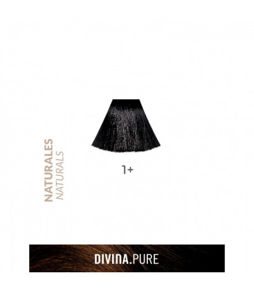 Vopsea de par fara amoniac 1+ Black Plus 60 ml Divina.Pure Eva Professional