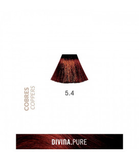 Vopsea de par fara amoniac 5.4 Dark Coppery Brown 60 ml Divina.Pure Eva Professional