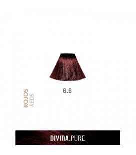 Vopsea de par fara amoniac 6.6 Garnet Red 60 ml Divina.Pure Eva Professional