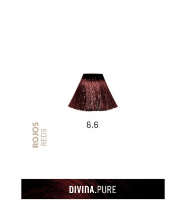 Vopsea de par fara amoniac 6.6 Garnet Red 60 ml Divina.Pure Eva Professional