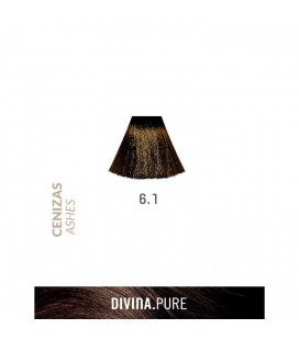 Vopsea de par fara amoniac 6.1 Dark Ash 60 ml Divina.Pure Eva Professional