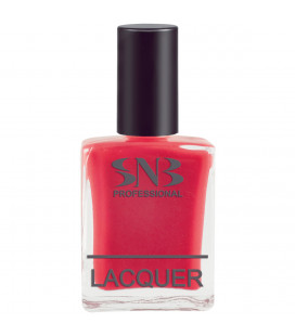 SNB Lac de unghii Nina