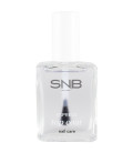 SNB Top de sigilare al lacului