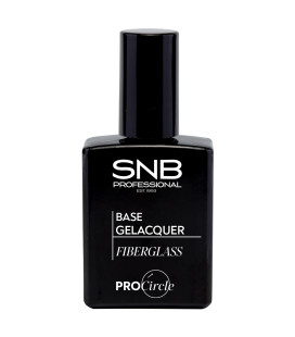 SNB Fiberglass Gel pentru intarire si constructie