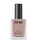 Set Manichiura Clasica SNB Professional