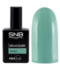 Oja Semipermanenta SNB Posey GL292 15 ml