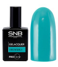 Oja Semipermanenta SNB Frederica GL323 15 ml