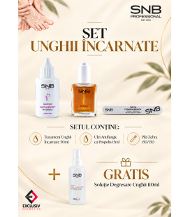 Set Unghii Incarnate SNB