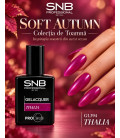 Ojă Semipermanentă GL394 SNB Professional Talia Soft Autumn 15 ml