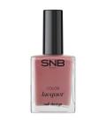 Lac de unghii Roz Pastel Prăfuit NLC41 Tsvetina Pink Glare SNB Professional 15 ml
