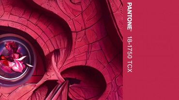 VIVA MAGENTA - CULOAREA ANULUI 2023 